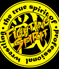 Fighting Spirit Pro