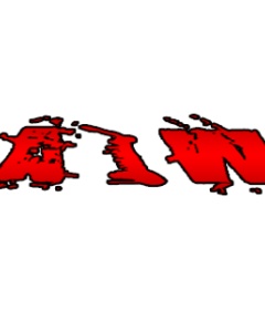 Absolute Intense Wrestling