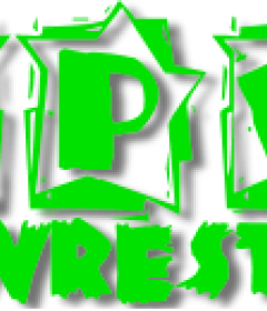 UPW Pro Wrestling