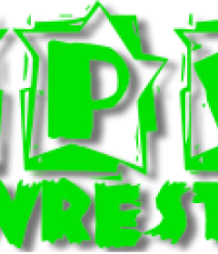 UPW Pro Wrestling