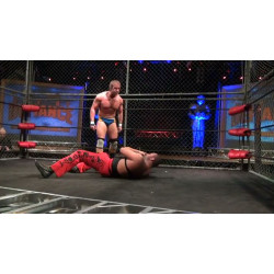 AAW May 2, 2014 "Day of Defiance" - Merrionette Park, IL (Download)