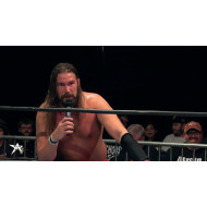 AAW September 18, 2015 "Defining Moment" - Merrionette Park, IL (Download) AAW September 18, 2015 "Defining Moment" - Merrionette Park, IL (Download)