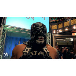 AAW November 28, 2015 "Windy City Classic XI" - Chicago, IL (Download)