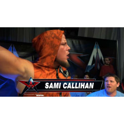 AAW January 15, 2016 "The Chaos Theory" - Merrionette Park, IL (Download)