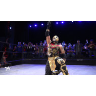 AAW April 8, 2017 "Epic" - Rosemont, IL (Download) AAW April 8, 2017 "Epic" - Rosemont, IL (Download)