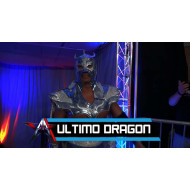 AAW November 4, 2017 "Rise of the Dragon" - LaSalle, IL (Download) AAW November 4, 2017 "Rise of the Dragon" - LaSalle, IL (Download)