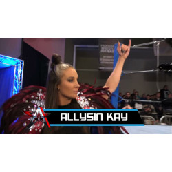 AAW December 2, 2017 "Legacy" - LaSalle, IL (Download) AAW December 2, 2017 "Legacy" - LaSalle, IL (Download)