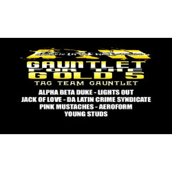 AIW February 19, 2010 "Gauntlet for the Gold 5" - Cleveland, OH (Download)