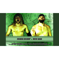 AIW November 2, 2019 "200th Show" - Akron, OH (Download) AIW November 2, 2019 "200th Show" - Akron, OH (Download)