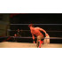 Chaos Pro Wrestling February 1, 2013 "Atonement" - Metropolis, IL (Download)