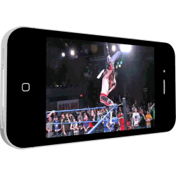 Chikara April 17, 2011 "King Of Trios - Night 3" - Philadelphia, PA (Download) Chikara April 17, 2011 "King Of Trios - Night 3" - Philadelphia, PA (Download)