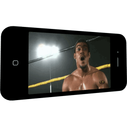 CZW January 12, 2013 "Ascension" - Voorhees, NJ (Download) CZW January 12, 2013 "Ascension" - Voorhees, NJ (Download)