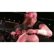CZW April 1, 2016 "Welcome to the Combat Zone" - Dallas, TX (Download) CZW April 1, 2016 "Welcome to the Combat Zone" - Dallas, TX (Download)