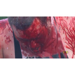 CZW June 11, 2016 "Tournament of Death 15" - Townsend, DE (Download) CZW June 11, 2016 "Tournament of Death 15" - Townsend, DE (Download)