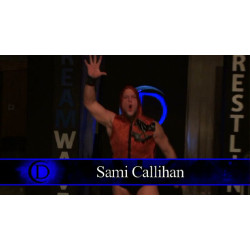 DreamWave Wrestling February 6, 2016 "Immortality 2016" - LaSalle, IL (Download)