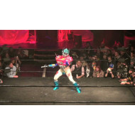 F1rst Wrestling January 9, 2015 "WP 5" - Minneapolis, MN (Download) F1rst Wrestling January 9, 2015 "WP 5" - Minneapolis, MN (Download)