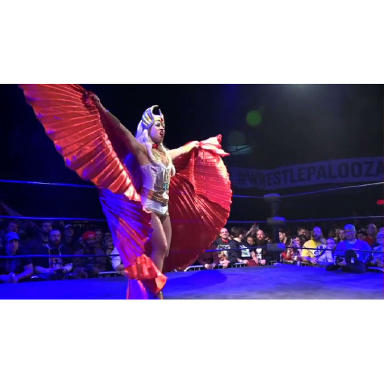 F1RST Wrestling January 8, 2016 "WrestlePalooza VII" - Minneapolis, MN (Download)