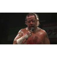 FREEDOMS August 21, 2013 "Pain Limit 2013 - Stage 1" - Tokyo, Japan (Download) FREEDOMS August 21, 2013 "Pain Limit 2013 - Stage 1" - Tokyo, Japan (Download)