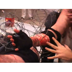 IWA Deep South September 26, 2009 "Carnage Cup V" - Calera, AL (Download) IWA Deep South September 26, 2009 "Carnage Cup V" - Calera, AL (Download)