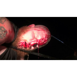 IWA Mid-South June 26, 2015 "2015 King of the Death Matches: Night 1" - Charlestown, IN (Download) IWA Mid-South June 26, 2015 "2015 King of the Death Matches: Night 1" - Charlestown, IN (Download)