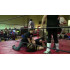 IWA Mid-South November 20, 2015 "November Pain" - Clarksville, IN (Download)