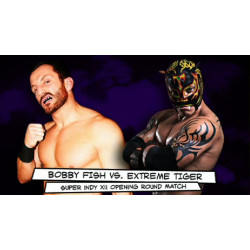 IWC June 15, 2013 "Super Indy XII" - Elizabeth, PA (Download)