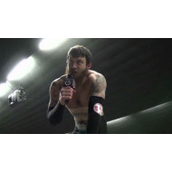 Pro Wrestling Championship Series April 30, 2016 "Stage One 2016" - Granite City, IL (Download)