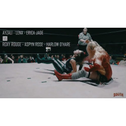 New South February 3, 2018 "We Love Pro Wrestling 3" - Hartselle, AL (Download)