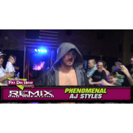 Remix Pro Wrestling April 26, 2014 "Throwdown for the Pound 9" - Marietta, OH (Download) Remix Pro Wrestling April 26, 2014 "Throwdown for the Pound 9" - Marietta, OH (Download)